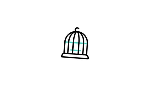 Animated Sketch Birdcage Reveal Graphic