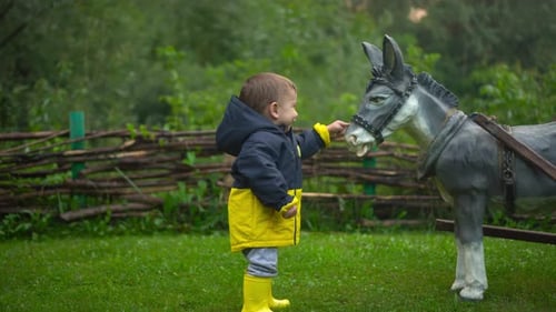 A Little Boy Touches a Decorative Donkey in the Garden The Child is Wearing a Jacket and Boots