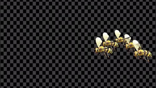 Fluid Swarm of Flying Bees with Alpha Channel