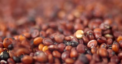 Red Quinoa Grains Close Up
