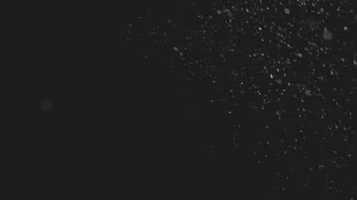 Floating White Particles on Black Background
