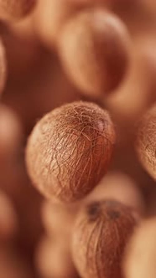 Animation einer Gruppe von Kokosnüssen. Defokus. Nahaufnahme
.