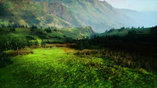 Lush Green Valley With Majestic Mountains