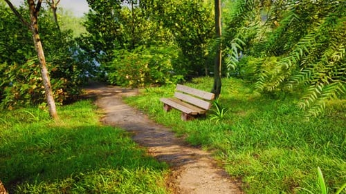 Seating Area on the Valley Walking Trail