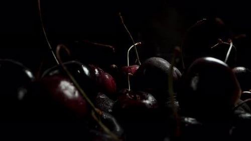 A large quantity of cherries emerges from darkness into the light. Close-up shot.