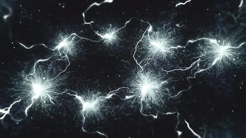 Neuronaler Schaltkreis