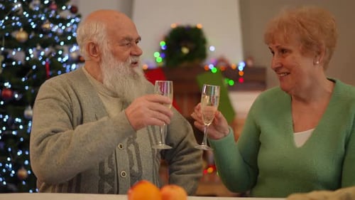 Loving Senior Couple Celebrating Christmas Together With Champagne