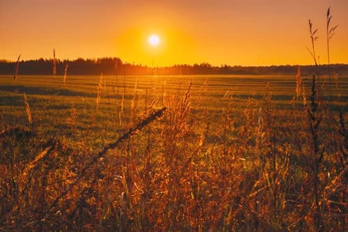 5K Beautiful Autumn Field Landscape TimeLapse TimeLapse