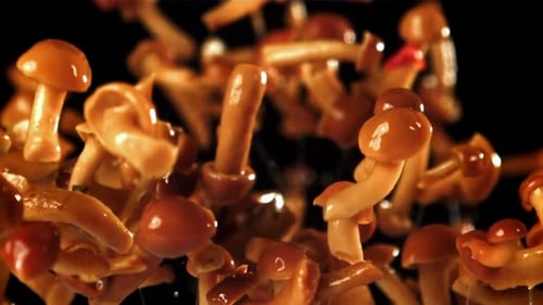 Pile of Glazed Mushrooms Falling in Slow Motion