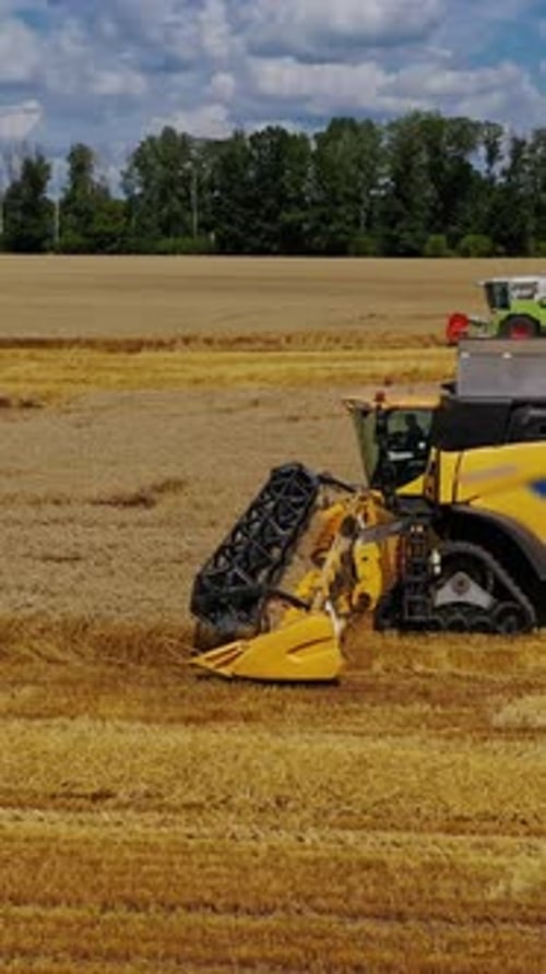 La récolte des céréales se fait par une journée ensoleillée. Champ jaune avec du grain.