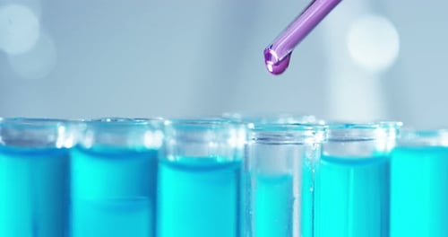 In a laboratory, a scientist with a pipette analyzes a colored liquid to extract the DNA and molec