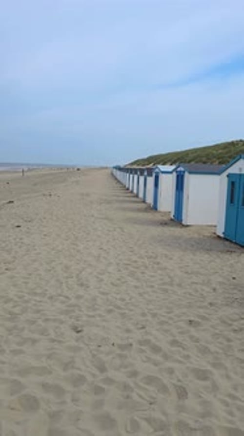 Texel Little White Blue Houses in the Dunes in Holland on the Island of Texel in the Netherlands
