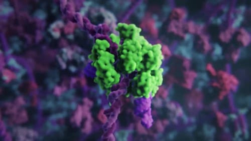 Vibrant microscopic view of glowing green and purple cells