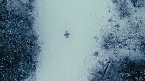 Solo Person Walk in Cold Winter Snow Scenery