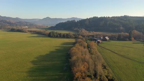 An Autumn Landscape With Green Meadow And Colorful Trees In Myrtle Point, Oregon At Daytime - aerial