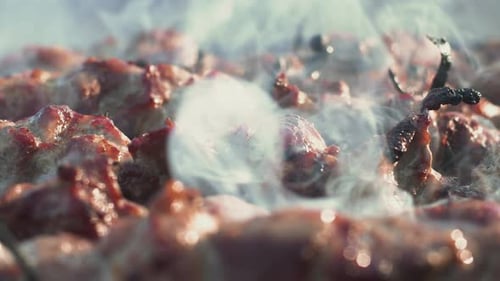 Nahaufnahme beim Räuchern von Fleisch, das auf dem Barbecue Grill im Freien gegrillt Schweinekebabs beim Rauchen