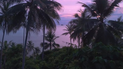 Tropisches Paradies und Ruhe mit Palmen vor rosafarbenem Sonnenuntergang über ruhigem Meer