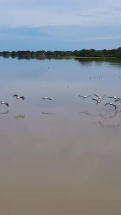 Tropical Landscape at Sunset Sri Lanka