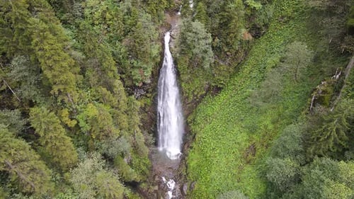 River And Waterfall In Wild Forest