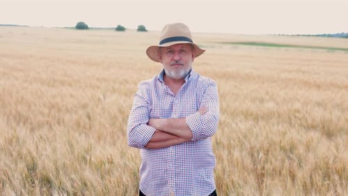 Farmer Standing in Wheat Field with Arms Crossed