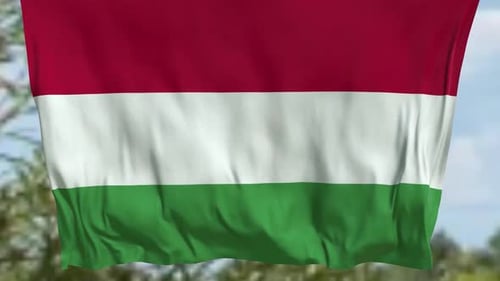 Realistic Hungarian Flag Waving Seamless Loop