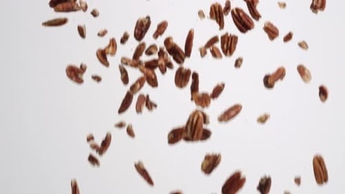 Whole brown roasted and salted pecan nuts raining down on white backdrop in slow motion