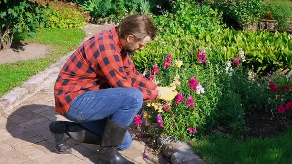 Professional Garden Worker Gardener Working in the Large Backyard ...