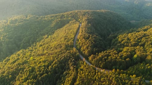Herbstwald und Straße 4k