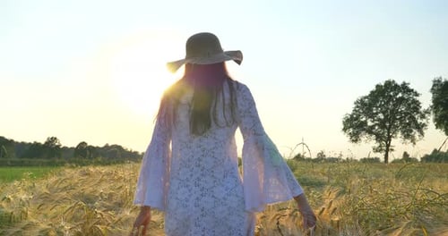 On a sunny day, a woman is walking along a wheat field with a white dress, in a straw hat on a nat