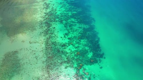 Sandy beach coast in a tropical summer sea island