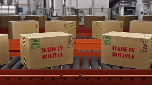 Vegan Food Cargo Boxes Made In Bolivia Text On Roller Conveyor