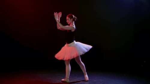 Classic Choreography on Stage of Theatre Ballerina Dancing Slow Motion Breathtaking Dance Show with