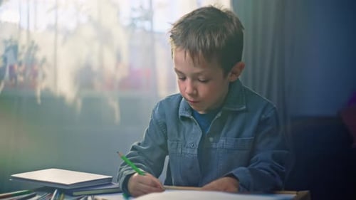 Development of a Child's Imagination a Boy Draws with Pencils on Paper
