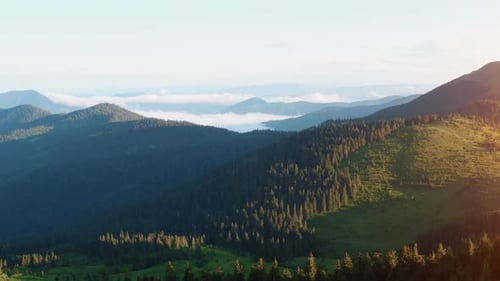 Flying up in the sky. Majestic Carpathian Mountains. Beautiful landscape of untouched nature