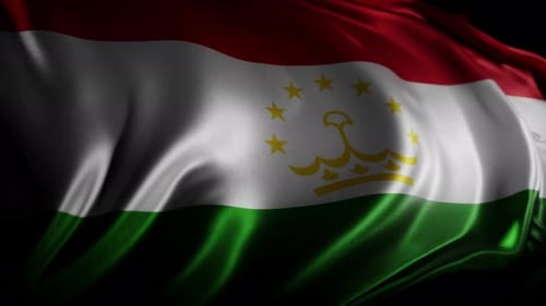 Realistic Waving Flag Seamless Loop