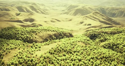 Vast Green Landscape with Rolling Hills and Dense Forest Under Bright Sunlight
