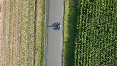 Motorcycle Riding a Road in Summer