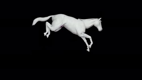 Animated 3D White Horse Walking and Galloping Alpha Channel