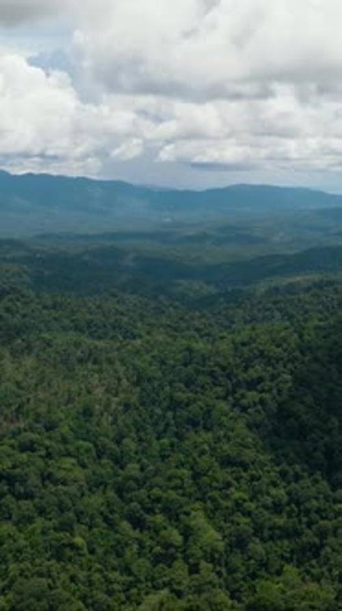 Montagnes avec forêt tropicale et nuages Bornéo Malaisie
