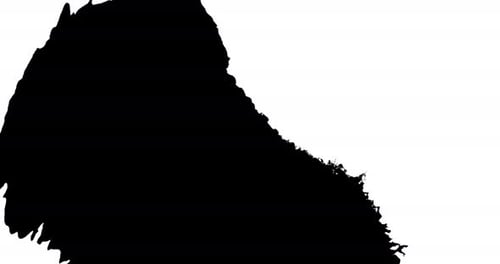 L'encre noire se répand sur une surface blanche