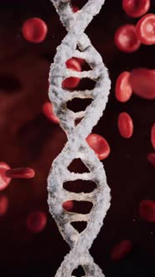 Animated DNA Strand and Red Blood Cells Medical Background