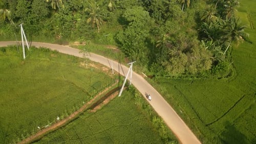 Aerial of Couple Ride on Motorbike in Rice Field Plantation Drone Shot of Man Woman Driving