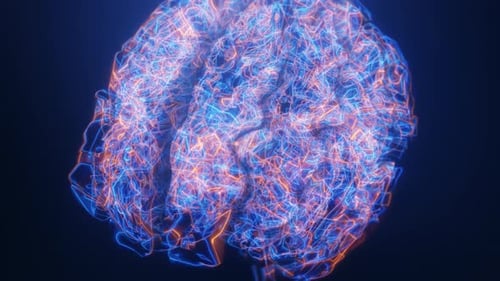 Futuristic Digital Brain with Active Neural Network Animation