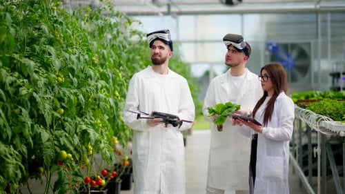 Innovative Agriculture: Scientists Using Technology in Greenhouse