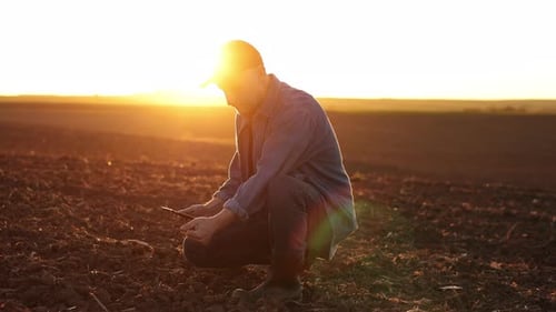 Agronomist touches soil examine and testing cultivated land before sowing on agricultural field