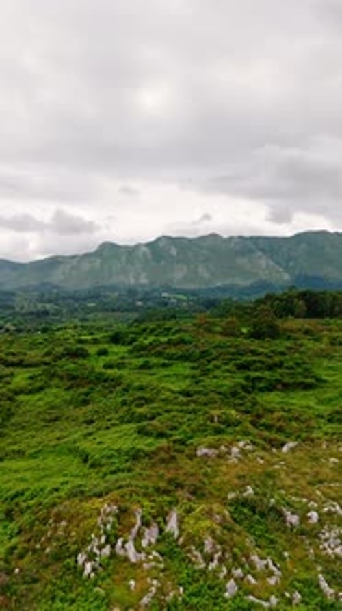 Rocky landscape covered with lush greenery. Mountain range silhouette under the cloudy sky