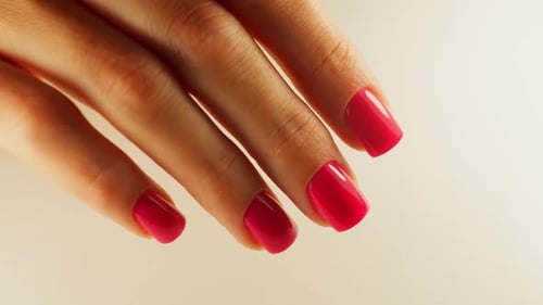 Wellgroomed Female Hands with a Glossy Finish After a Manicure