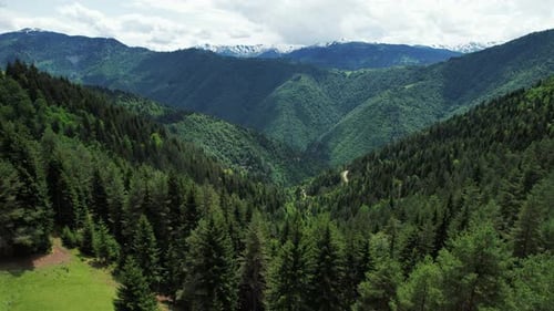 Drone Rises Over The Green Mighty Mountains. Aerial Panorama Of Mountains