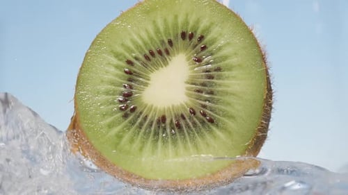 Fresh Kiwi Fruit Slice Submerged in Sparkling Water