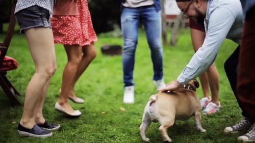 Felices amigos bailando con un perro bulldog francés en una maravillosa fiesta de verano en el jardín